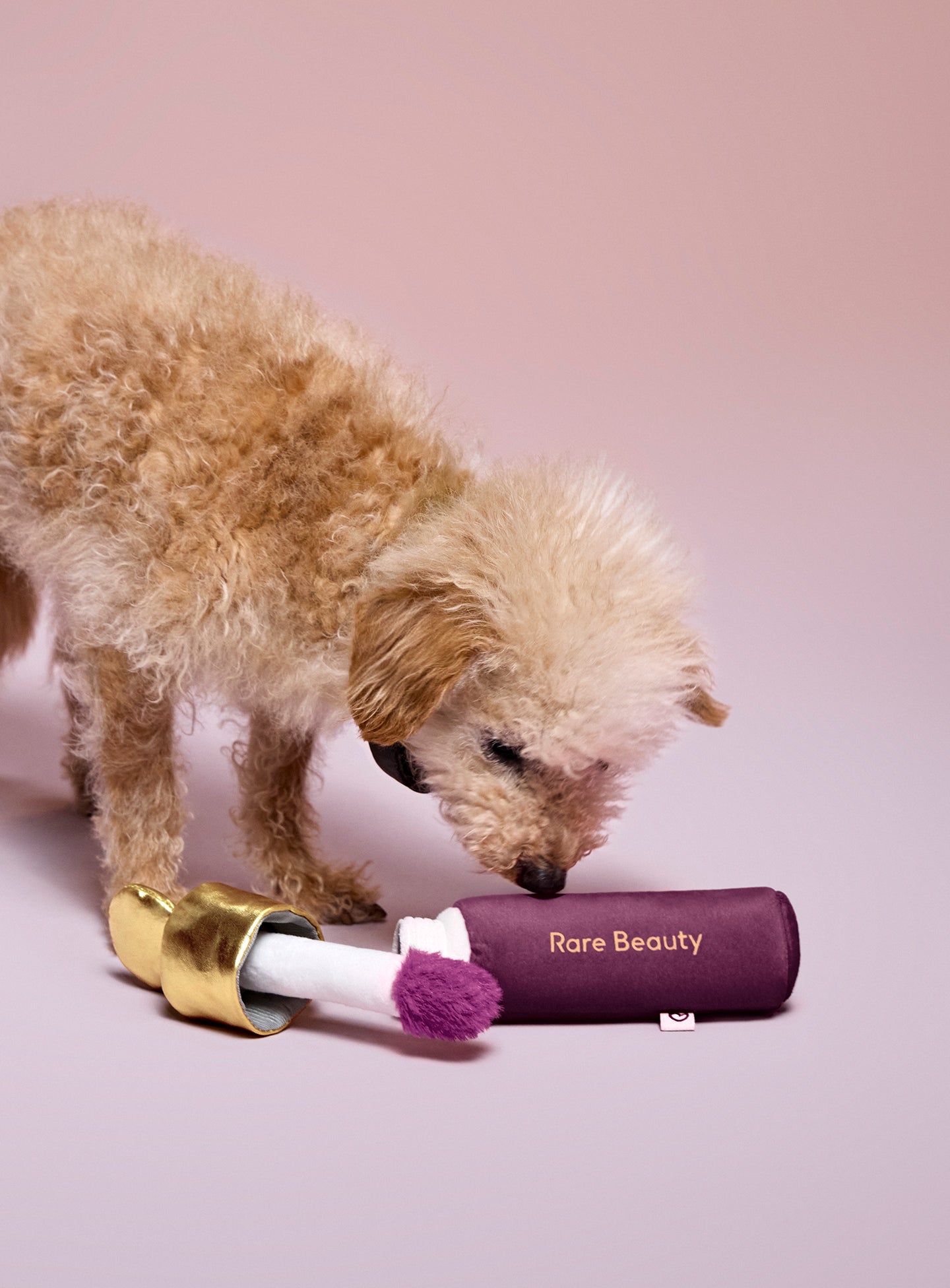 Soft Pooch Blush Dog Toy by Rare Beauty