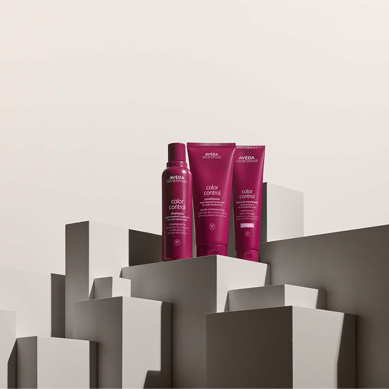 Color Control Leave In Treatment Light by Aveda