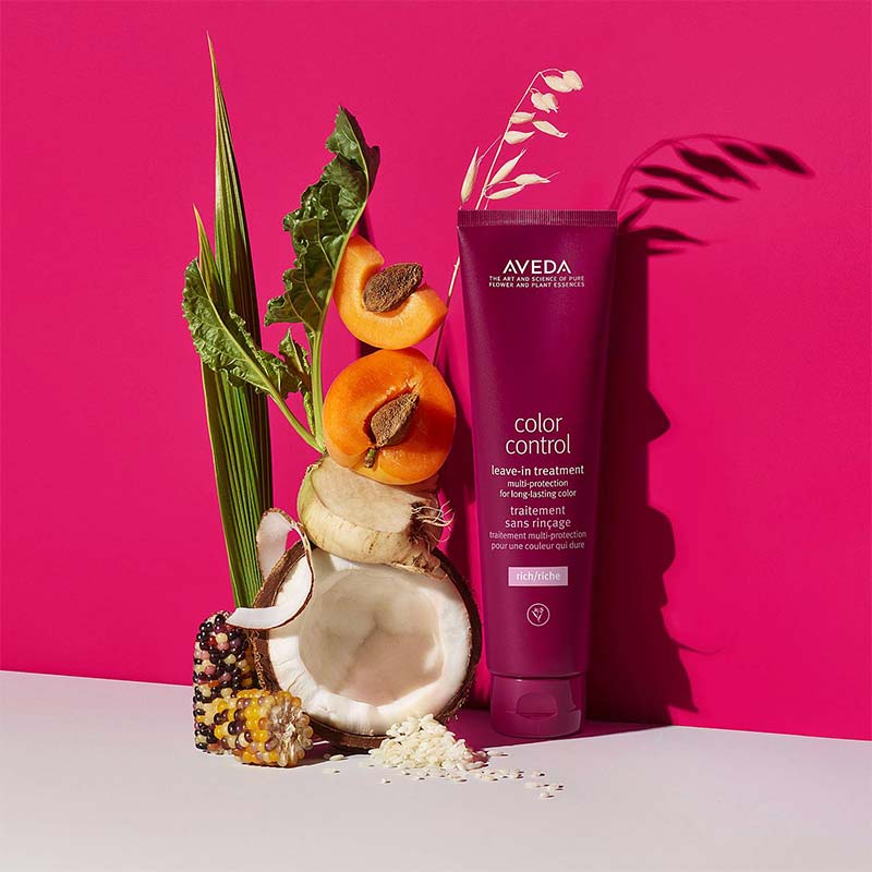 Color Control Leave In Treatment Rich by Aveda