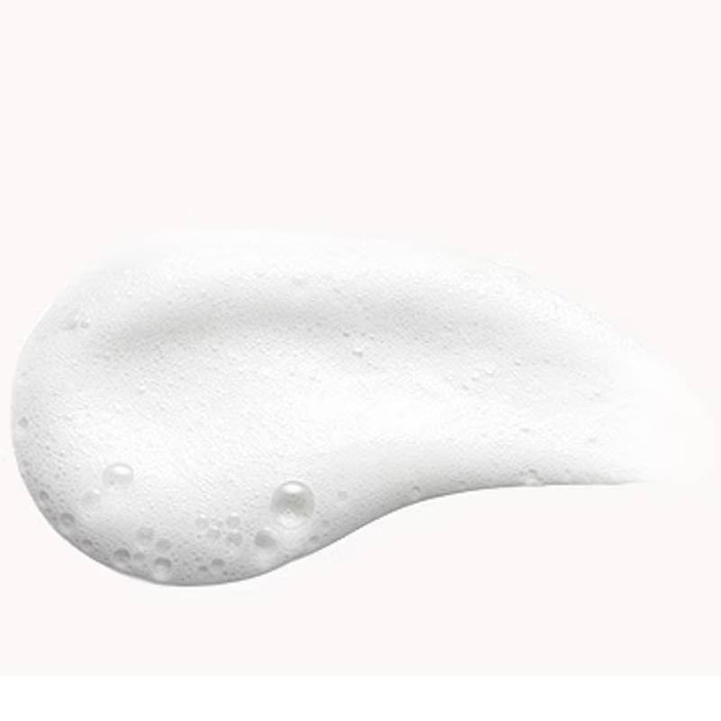 Phomollient Styling Foam For Volume And Shine by Aveda