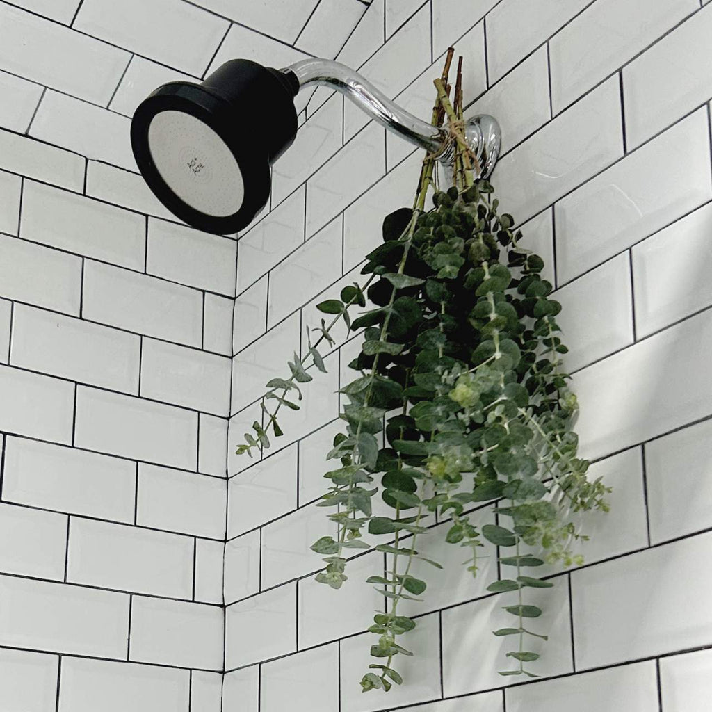 Act+Acre Act+Acre Showerhead Replacement Filter