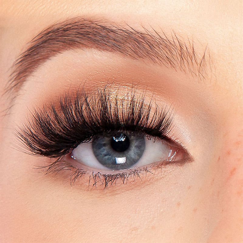 Enchant Eyelashes