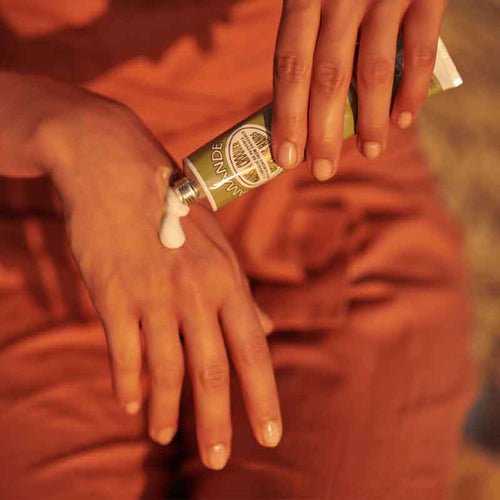 Almond Delicious Hand Cream by L'OCCITANE