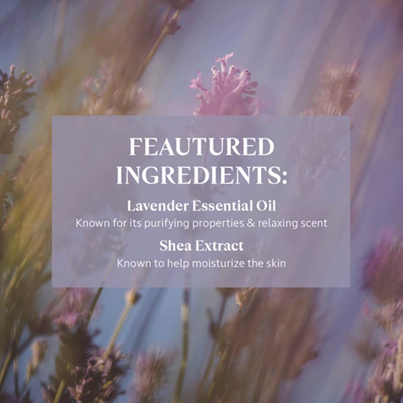 Shea Lavender Hands & Body Liquid Soap by L'Occitane