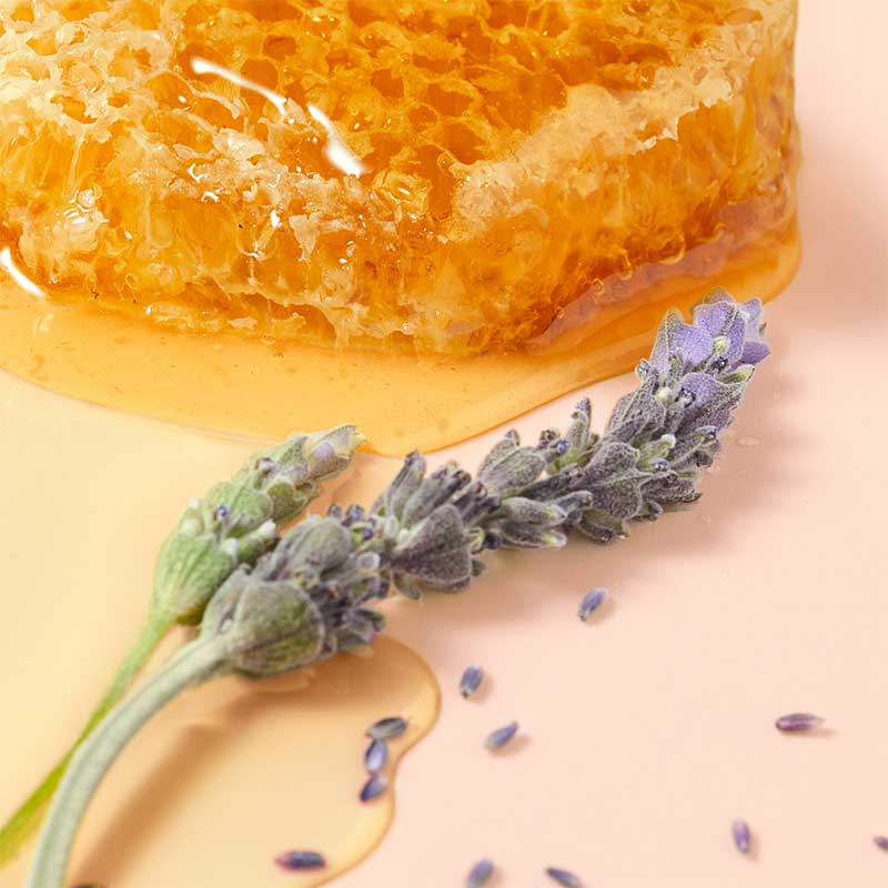 Reve De Miel Honey Lip Care Oil by NUXE