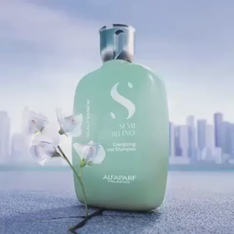 Semi Di Lino Scalp Rebalance Low Shampoo For Oily Scalp by Alfaparf