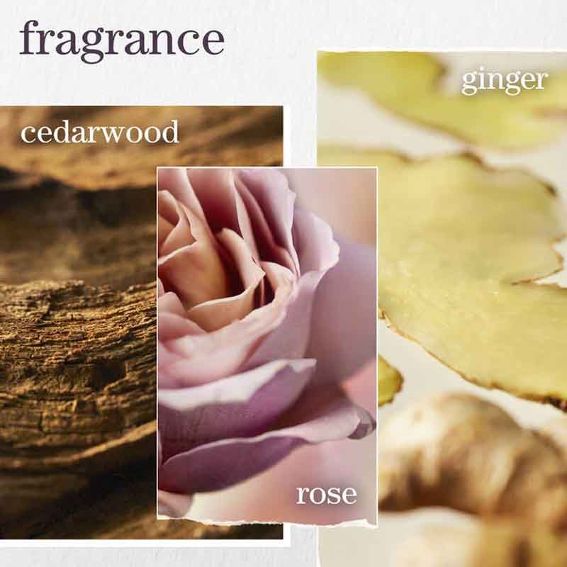 Colour Fanatic Multi-Tasking Leave-In Spray by Pureology