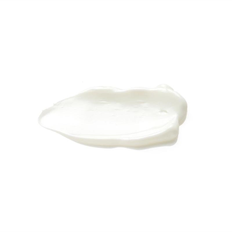 Squalane Hydrating Face Sunscreen SPF 50 by Q + A