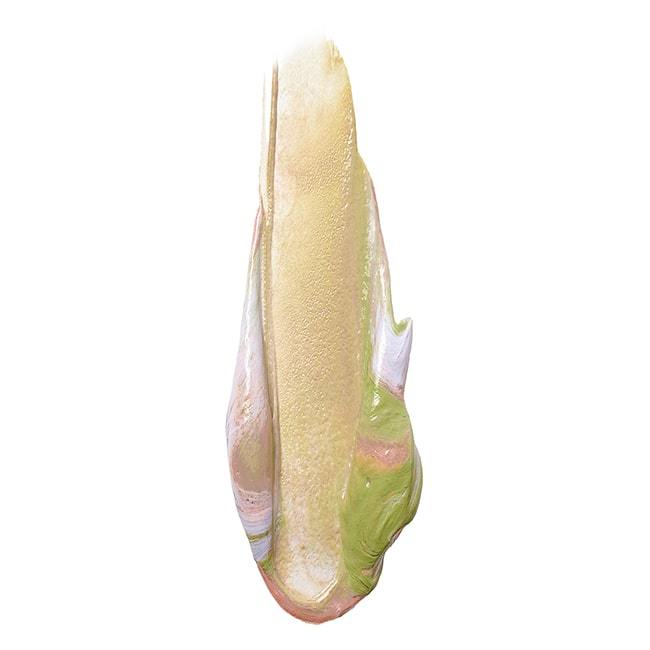 One Step Correct Kitten Skin Tone Correcting & Brightening Primer by Stila