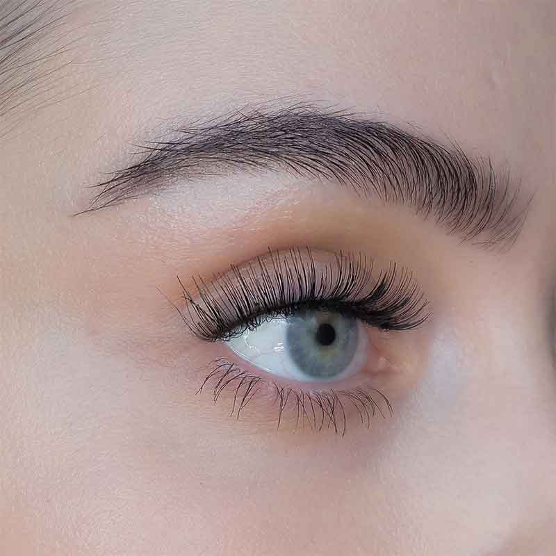 Gabbi Eyelashes by SWEED