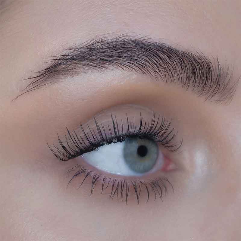 Ramina False Lashes