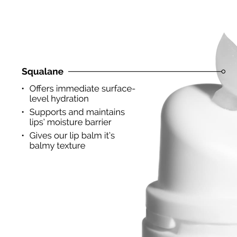 Squalane + Amino Acids Lip Balm
